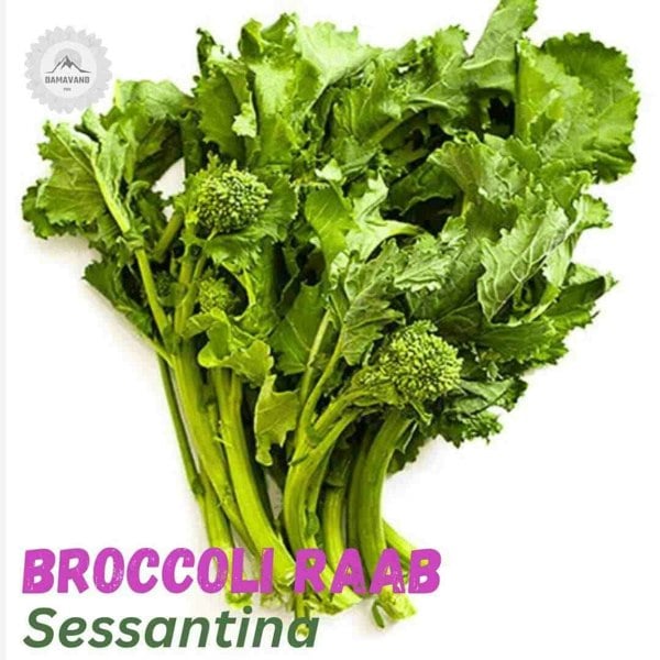 Broccoli Raab Seeds