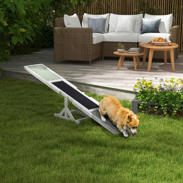 Pet Agility Seesaw