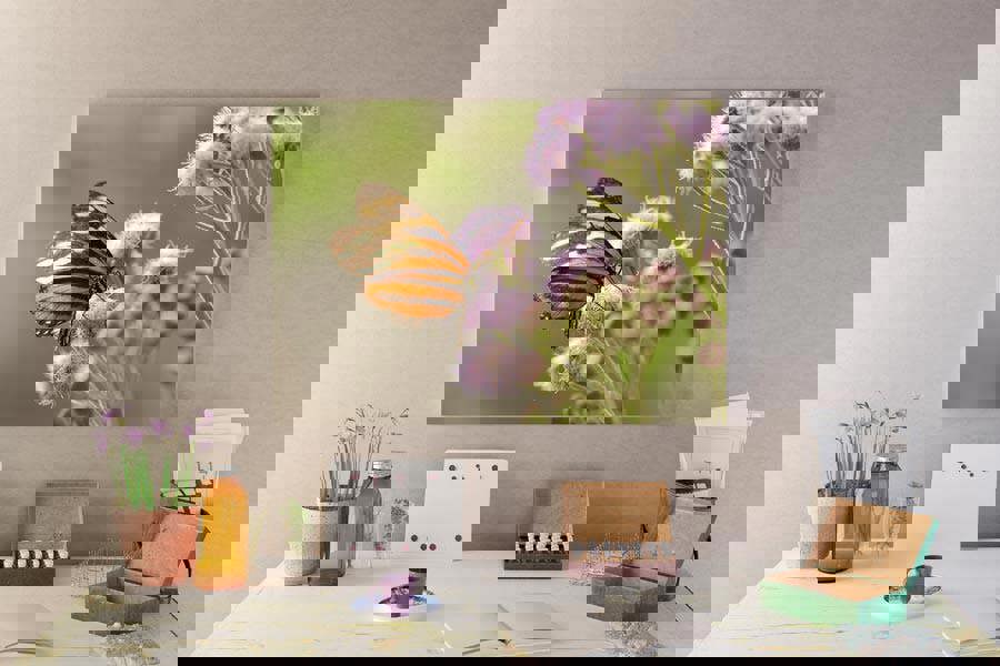 Butterfly photo art on canvas