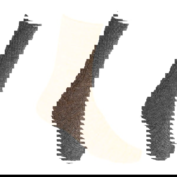 t4option1_0