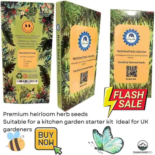 Kitchen garden starter kit – grow your own herbs with UK-sourced heirloom herb seeds