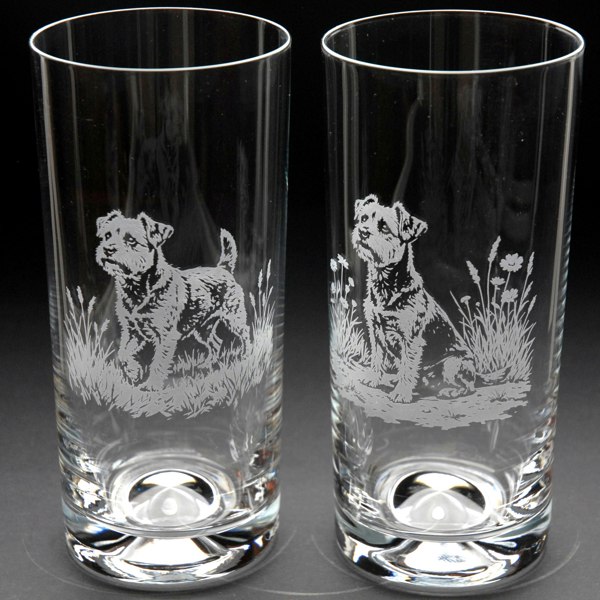 Glyptic Glass Art Border Terrier Dog Highball Glass - Hand Etched/Engraved Gift