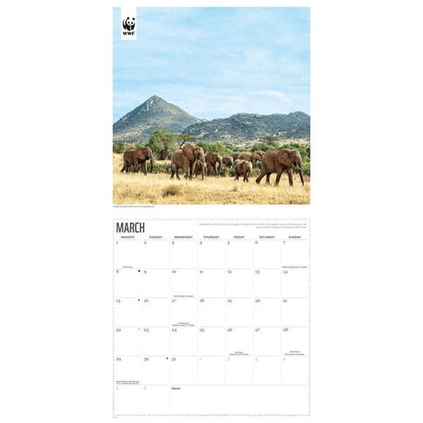 WWF, Elephants Calendar 2027, Wall Calendars, Month To View, Animals, Gift