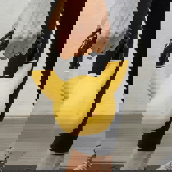 Myga Iron Kettlebell