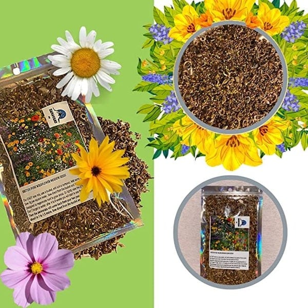 wild flower seed plants