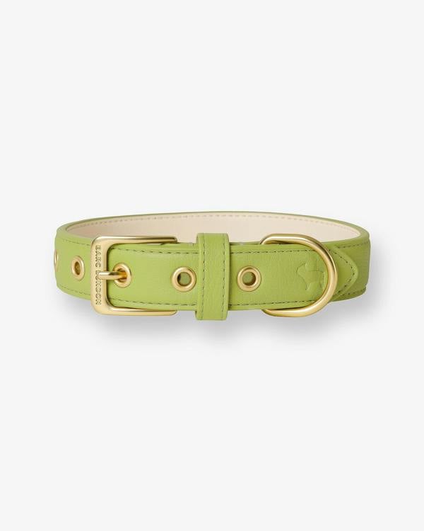 Barc London Wasabi Green Dog Collar
