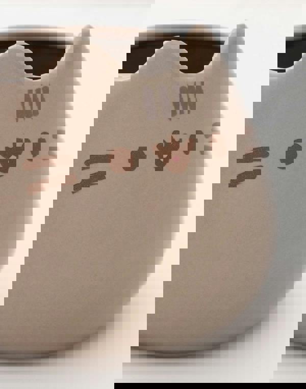 Pusheen Womens Brown 3D Face Mug and Sock Gift Set (One Size)