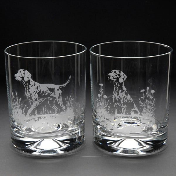 Glyptic Glass Art German Pointer Dog Whiskey Tumbler Glass - Hand Etched/Engraved Gift