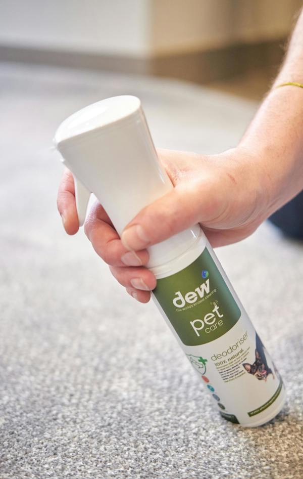 get rid of pet smell