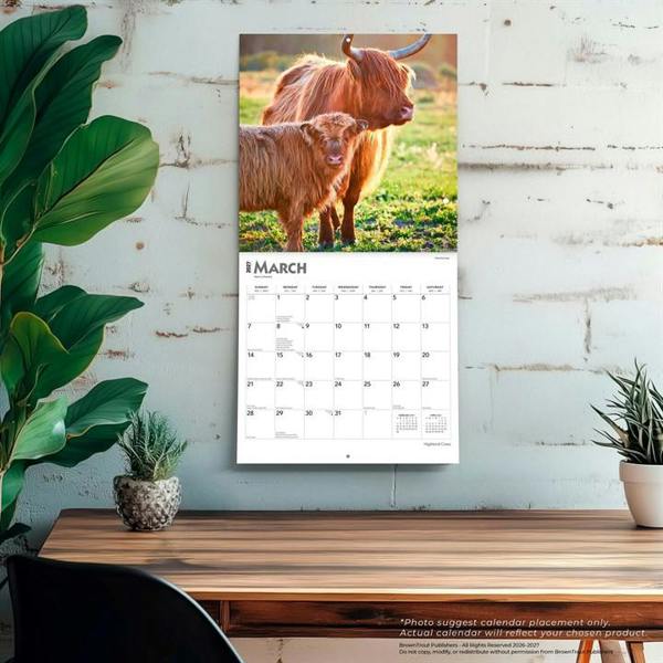 Highland Cows Calendar 2027, Wall Calendars, Month To View, Animals, Gift