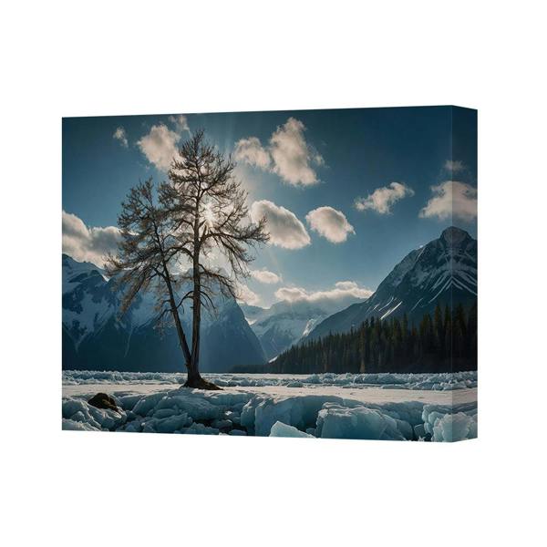 Benjamin Tate Design Lone Tree in Snowy Mountain Valley Canvas Wall Art