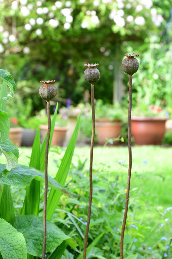 rusty metal poppies