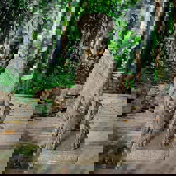 Giant Life-size Hunting Dog Great Dane Statue - classic finish