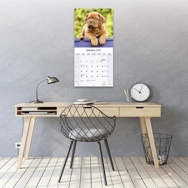 Dogue De Bordeaux Calendar 2027, Wall Calendars, Month To View, Dogs, Gift