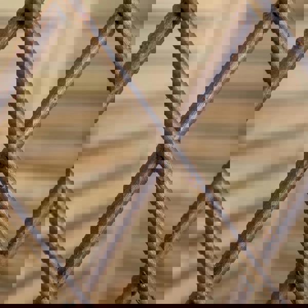 Samuel Alexander 1.8m x 1.2m Large Expanding Garden Willow Trellis Plant Support