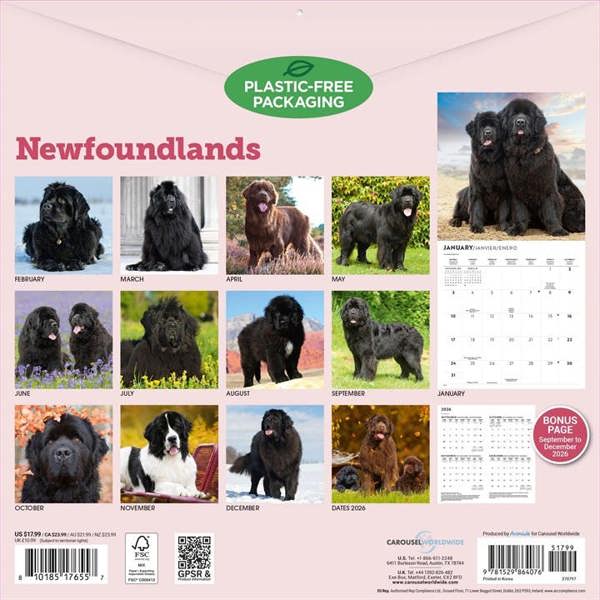 Newfoundlands Calendar 2027, Wall Calendars, Month To View, Dogs, Gift