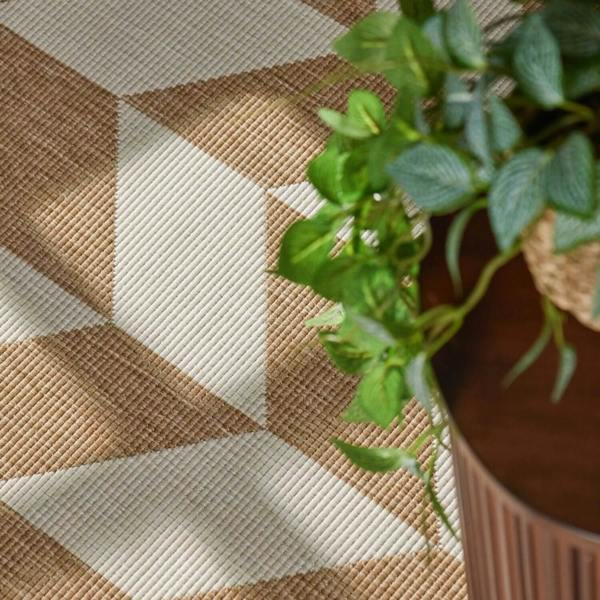Potted plant on a textured surface with geometric pattern