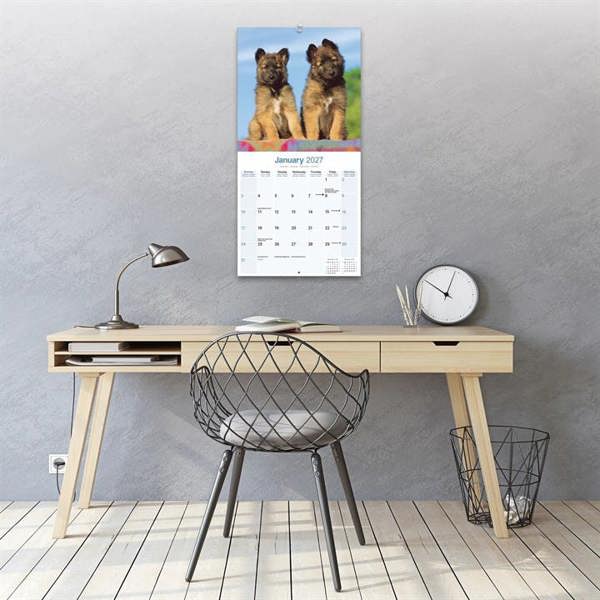 Belgian Shepherd Dog Calendar 2027, Wall Calendars, Month To View, Dogs, Gift