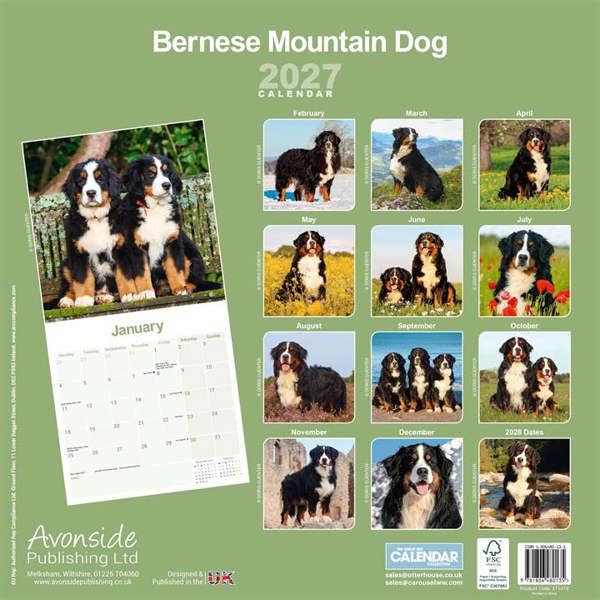 Bernese Mountain Dog Calendar 2027, Wall Calendars, Month To View, Dogs, Gift