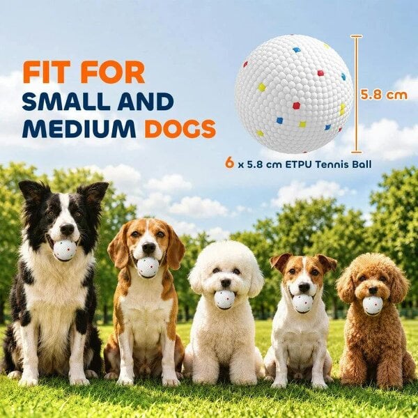 6 Pack Dog Balls Toys Fits Aggressive Chewers, Indestructible Teething and Water ETPU Balls for Throw and Fetch