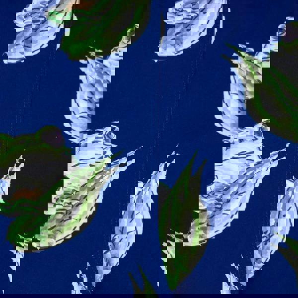 Randy Cow Matching Father & Son Frogs Swim Shorts