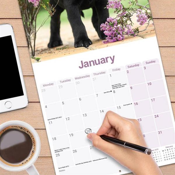 Staffordshire Bull Terrier Puppies Calendar 2027, Wall Calendars, Month To View, Dogs, Gift