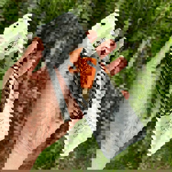 Camping Flint and Steel Fire Starter, Ferro Rod, HSS Striker - aZengear