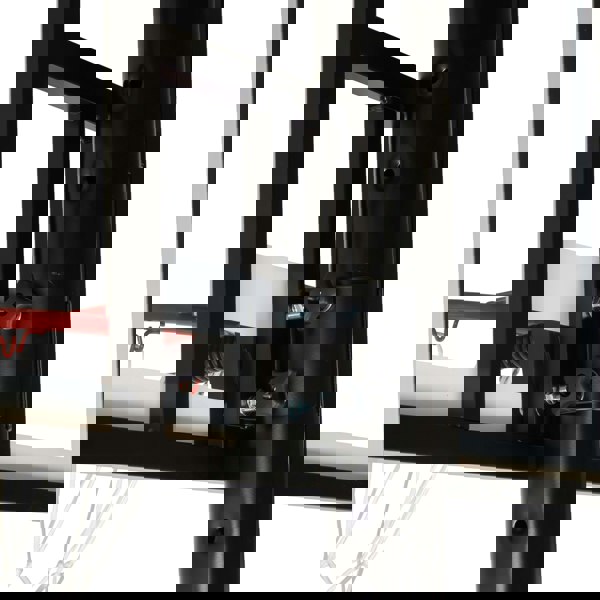 NET1 Arena Basketball Hoop