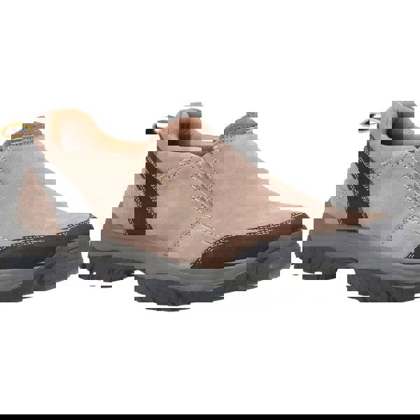 Cotswold Boxwell Hiking Men's Shoes in Tan