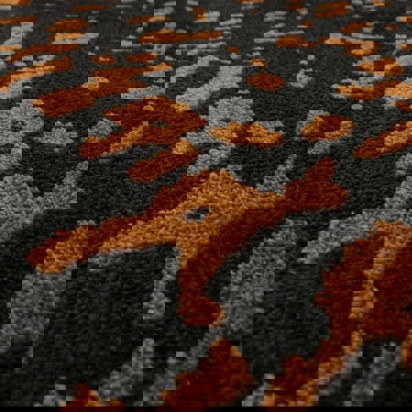 Asiatic Wilder Splash Charcoal Rug