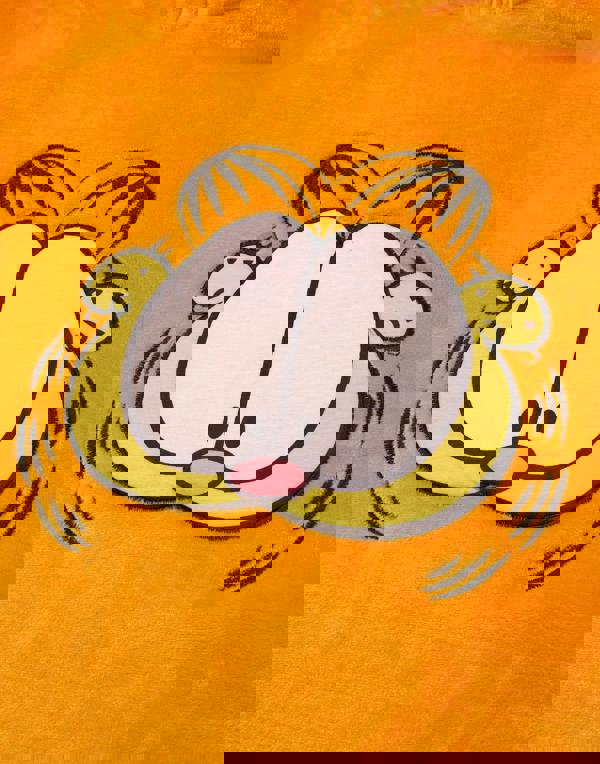 Garfield Unisex Kids Orange Novelty Face Blanket Hoodie