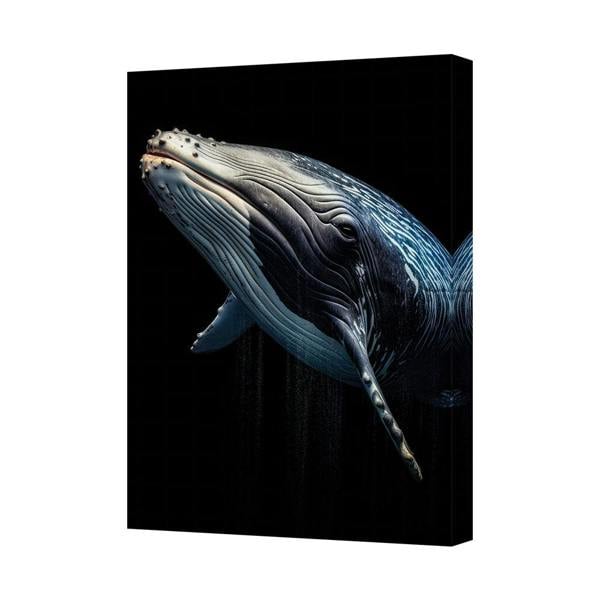 Benjamin Tate Design Blue Whale Canvas Wall Art Print On Black Background