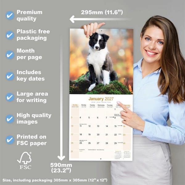 Border Collie Puppies Calendar 2027, Wall Calendars, Month To View, Dogs, Gift