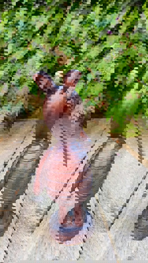 Inspirational Gifting Piglet Garden Sculpture Ornament Decor