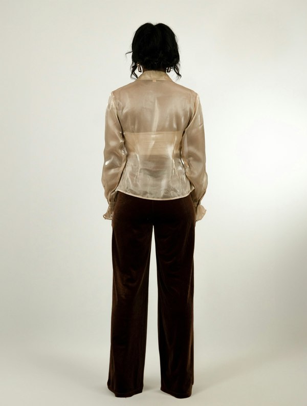 BALOU Organza Sheer Blouse