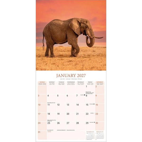 Elephants Calendar 2027, Wall Calendars, Month To View, Animals, Gift