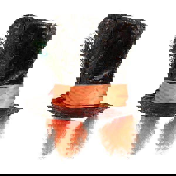 Bristol Novelty Unisex Top Hat With Feather And Hair - Brown/Orange - 