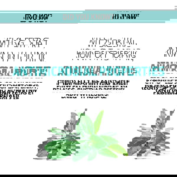 Goldwell Dualsenses Scalp Specialist Shampoo 250 ml