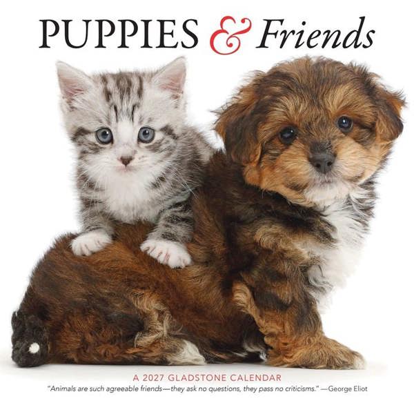Puppies & Friends Calendar 2027, Wall Calendars, Month To View, Dogs, Gift