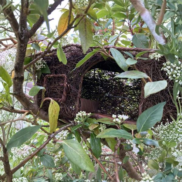 smartbies Cabin Bird Nester Wooden Hanging Nest Box for Garden Birds