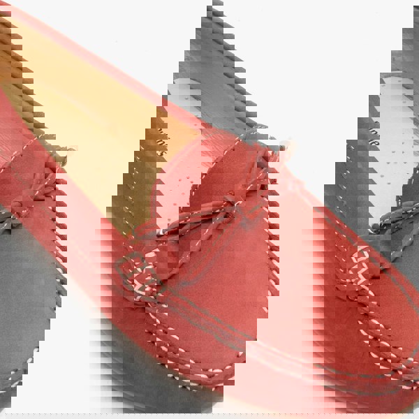 1582556585-50650800.jpg