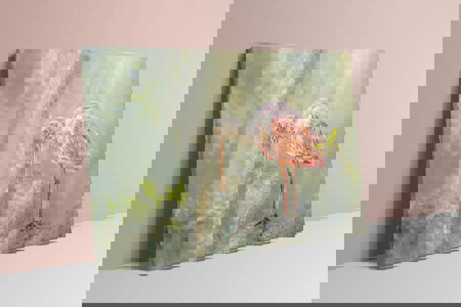 Gentle bird photography for elegant interiors