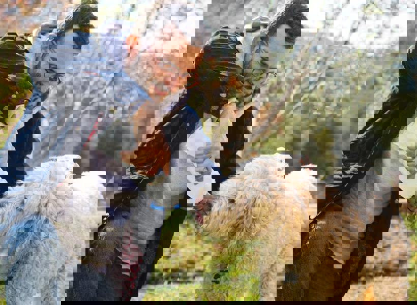 Vapur 700ml EZ Lick Foldable Dog Water Bottle