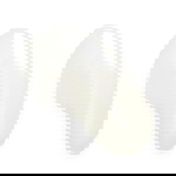 L'Anza Healing ColorCare Shampoo 950ml with pump