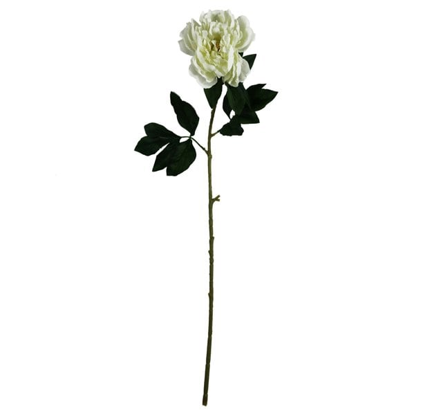 Leaf Pack of 6 x 80cm Artificial White Peony Stem