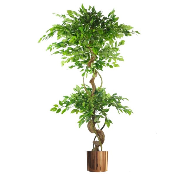 Leaf 150cm Twisted Trunk Artificial Japanese Fruticosa Ficus Tree Copper Planter