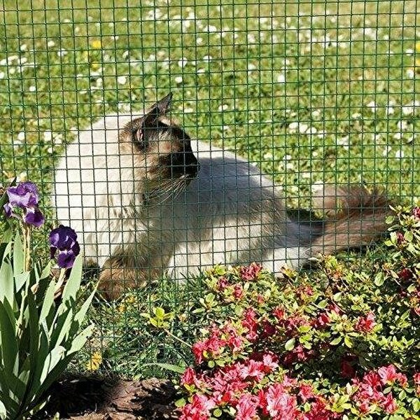 HYGRAD BUILT TO SURVIVE PVC-Coated Galvanised Chicken Wire Mesh, 1" × 1" Welded – 20 Gauge | HYGRAD®