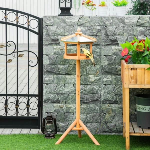 Bird Stand