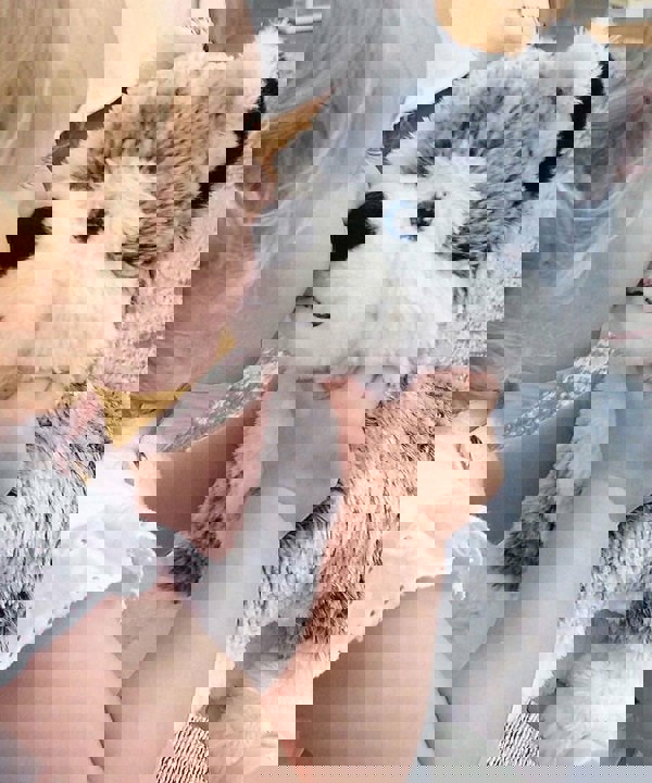 Baby Girl kissing Mishka Dog Pull Along Toy on his cute button nose