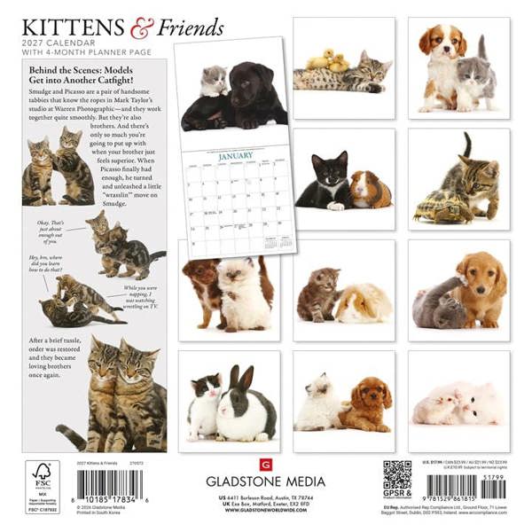 Unbranded Kittens & Friends Calendar 2027, Wall Calendars, Month To View, Cats, Gift